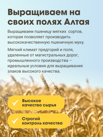 Гудвилл Мука пшеничная в/с  2кг